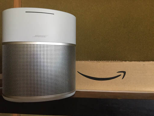 BOSE HOME SPEAKER 300 